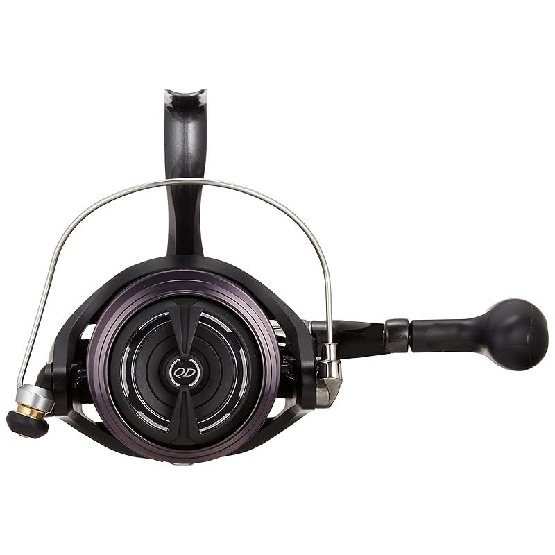 ダイワ(DAIWA) スピニングリール(投げ・遠投) ストア 17 クロス