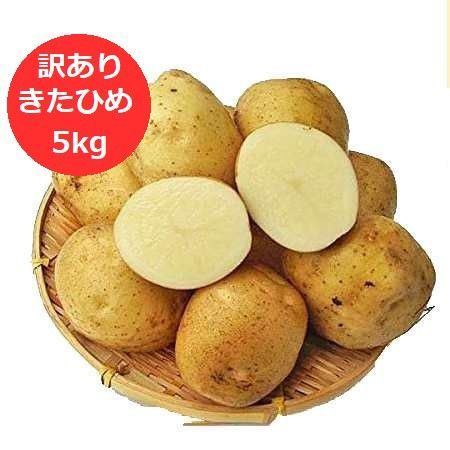 訳あり じゃがいも 5kg きたひめ 北海道産 ジャガイモ ポテト 訳あり じゃがいも 5kg きたひめ 北海道産 ジャガイモ ポテト