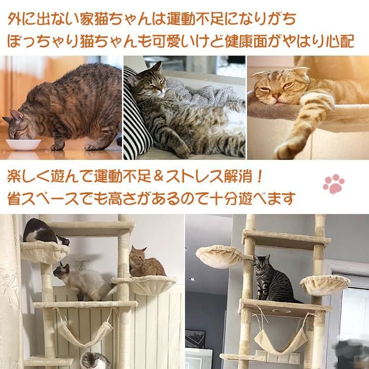 大型 爪と