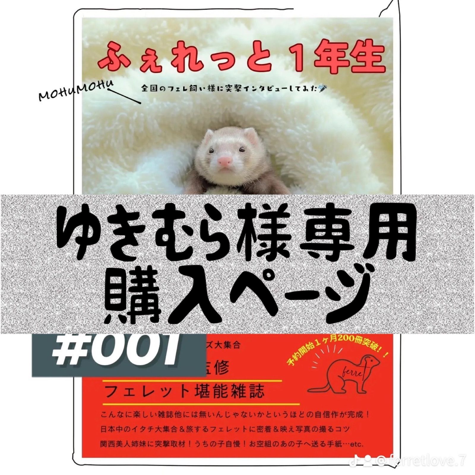 ふぇれっと1年生【ゆきむら様専用2冊購入ページ】