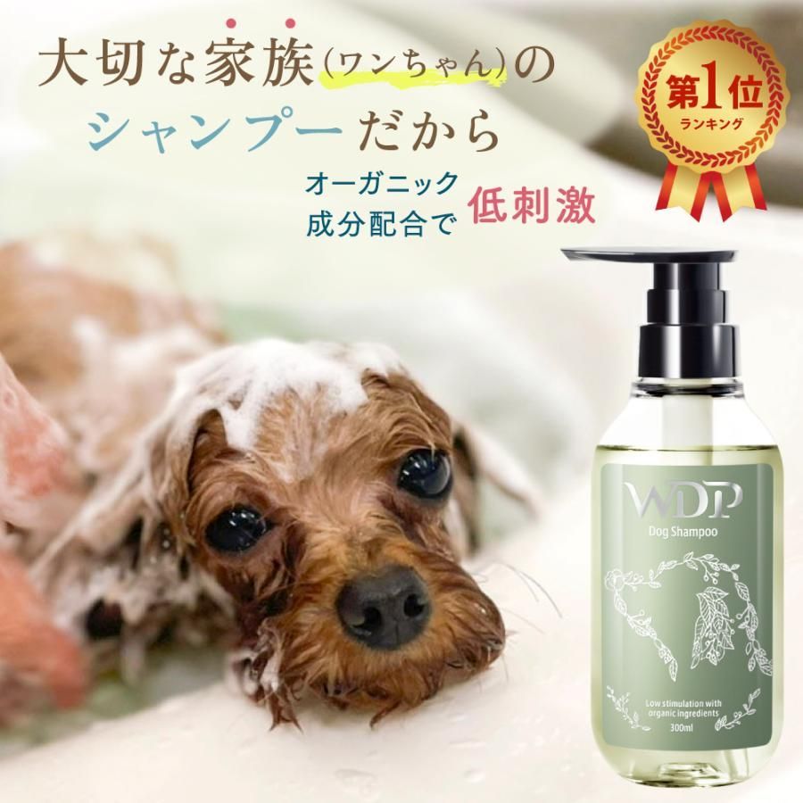 セール シャンプー 子犬