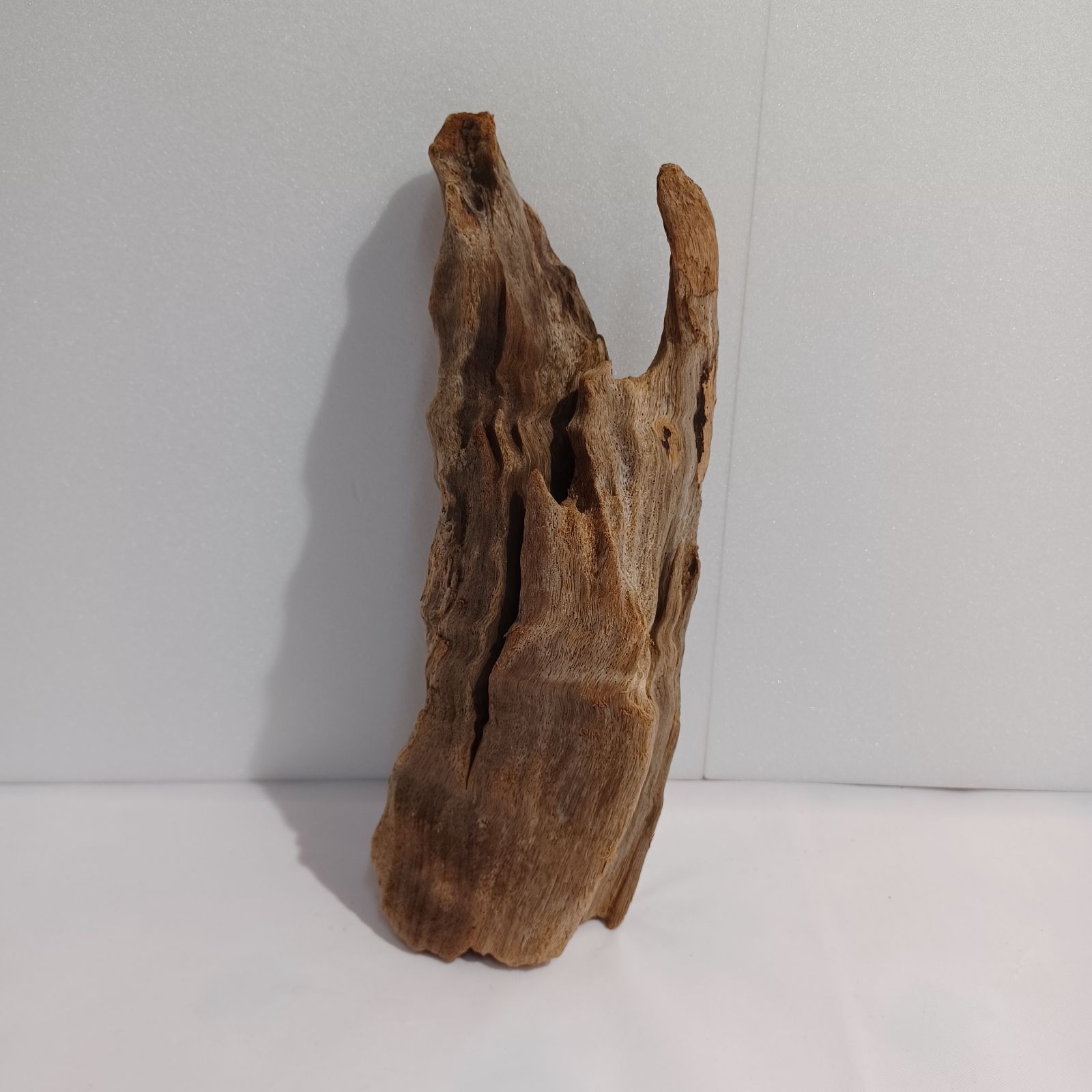 受注品：流木 617sGNNz-qL._UF894,1000_QL80_.jpg