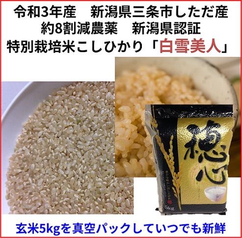 減農薬 新潟こしひかり玄米真空パック10kg 新潟県三条市旧しただ村産