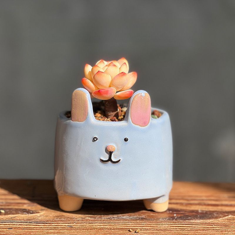 VALIEM MONSTER MOUTH SMILEY Lsize bitter VALIEM MONSTER MOUTH