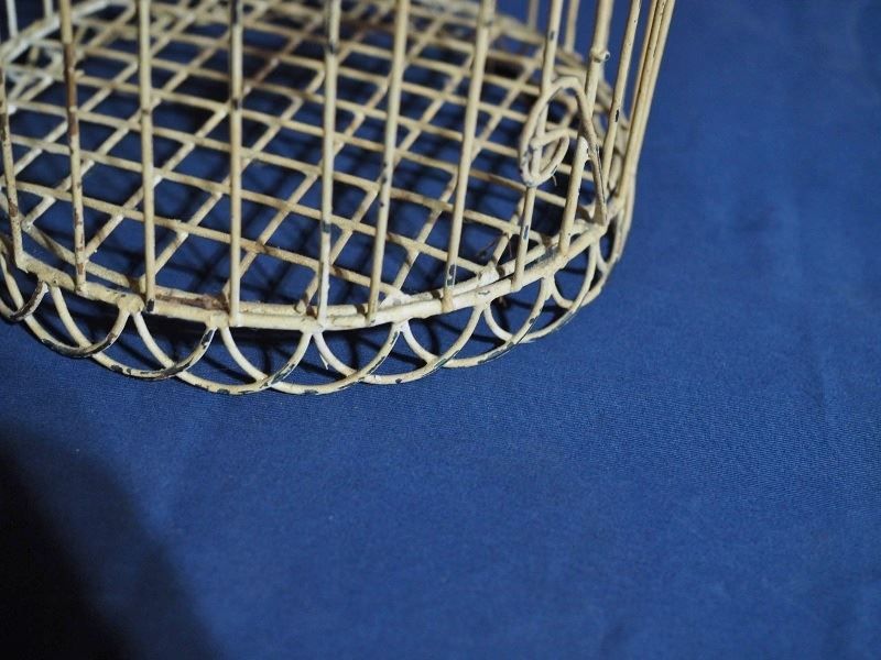 古録展 品番K2304