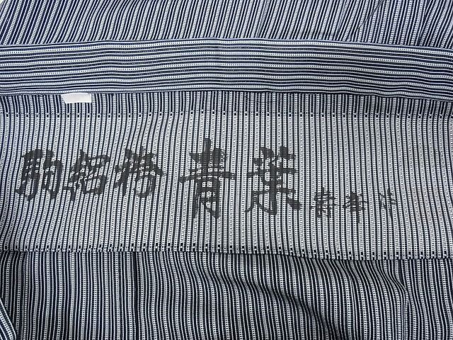 青葉 縞