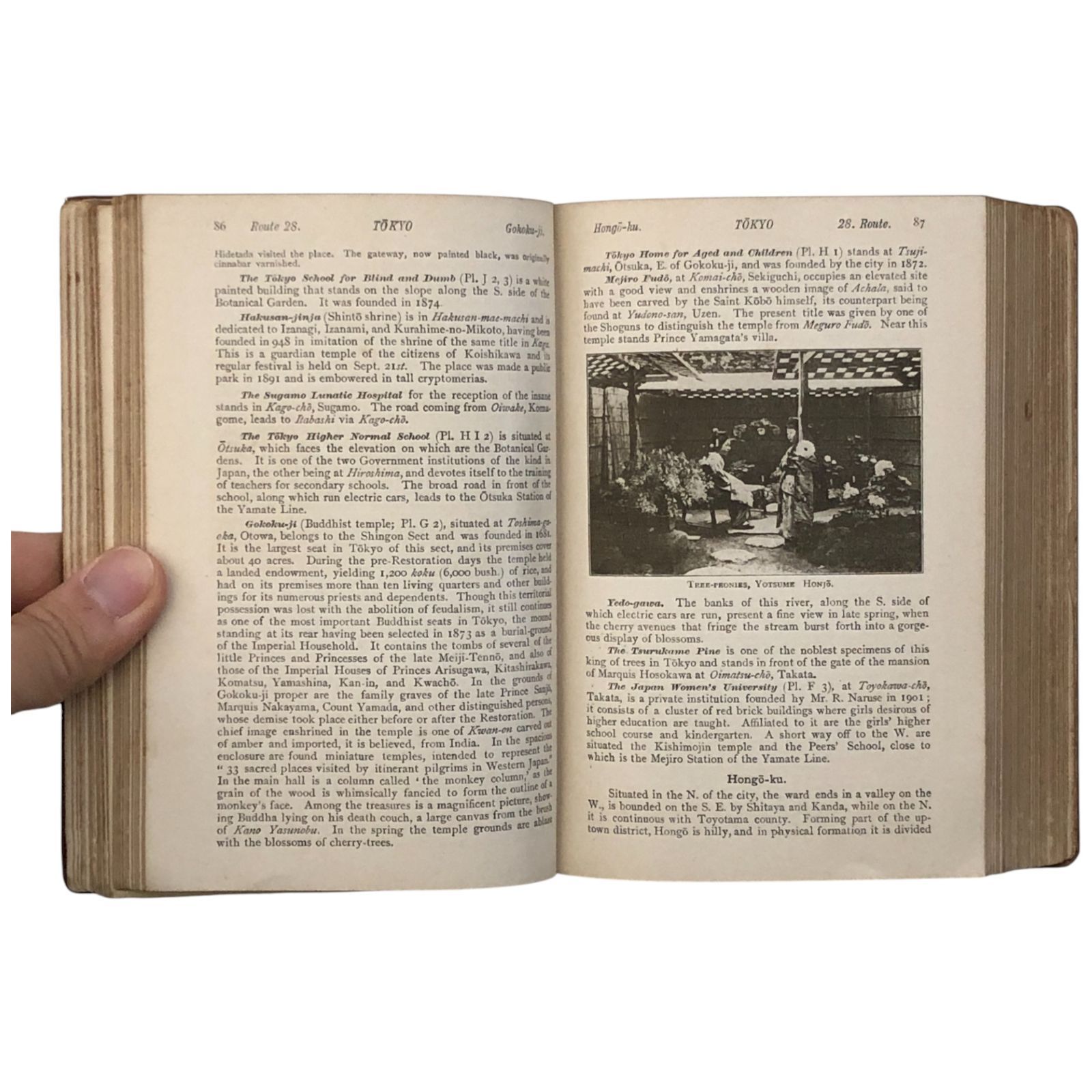 1914 旅行案内|鉄道省|東北地方|戦前|観光史|日本史|交通史|帝国鉄道|英語書|地理書