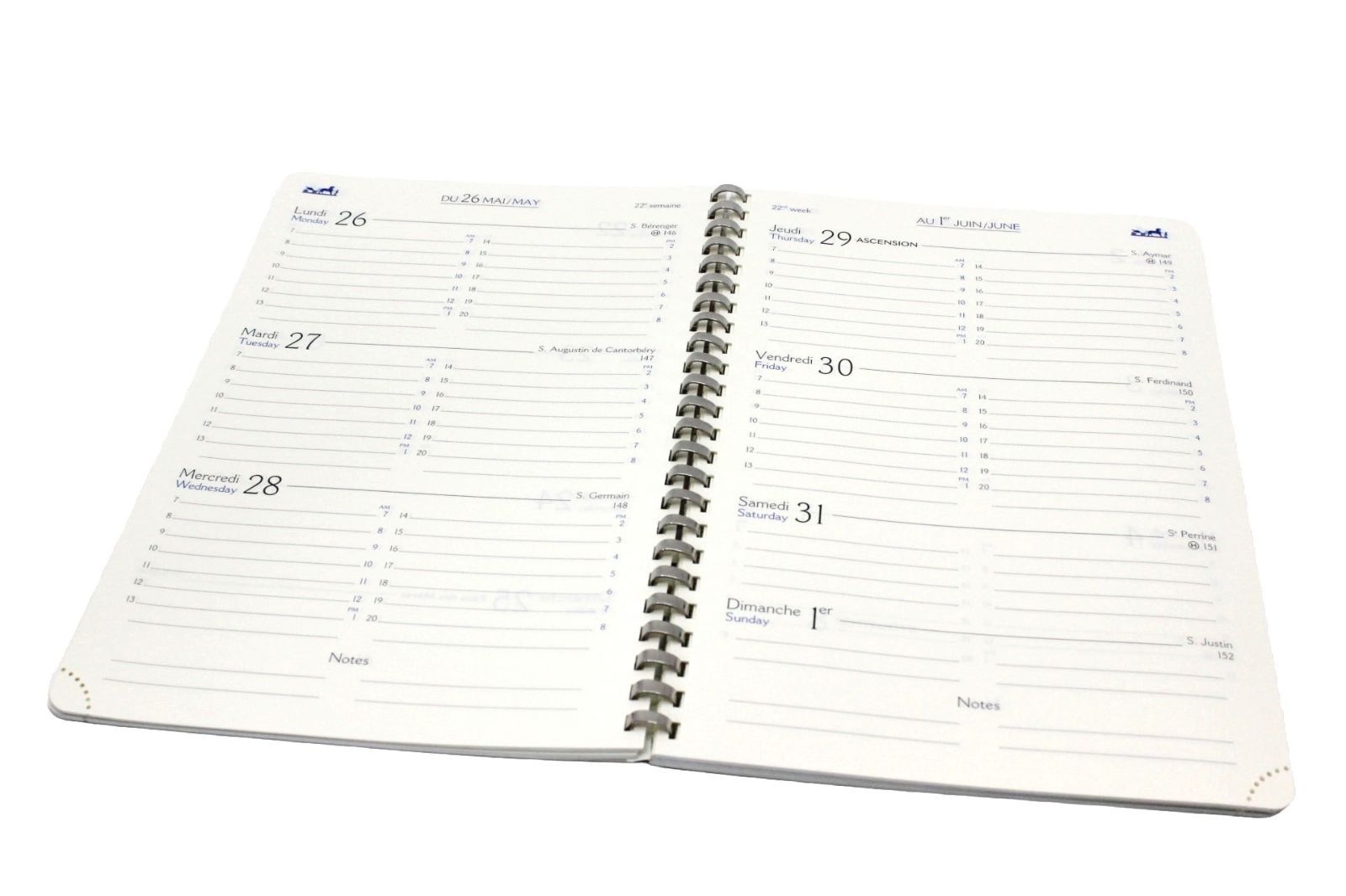 グローブトロッター