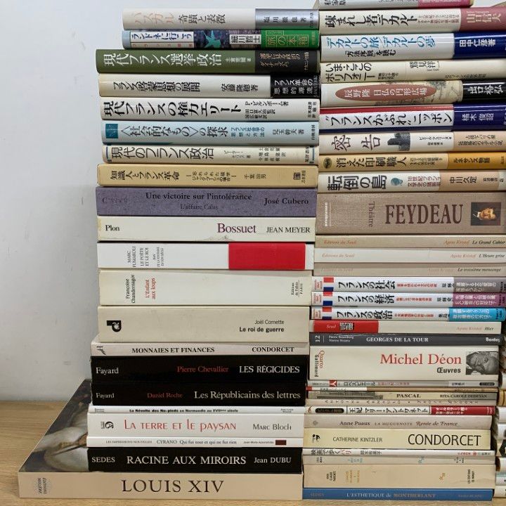 ■03)【同梱不可】フランス文学・歴史・政治などの本・洋書 まとめ売り約105冊大量セット/革命/ルイ14世/社会/パリ/小説/経済/パスカル/C □03)【同梱不可】フランス文学・歴史・政治などの本・洋書