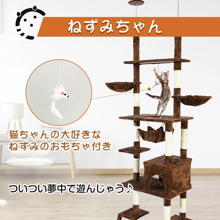 つめとぎ