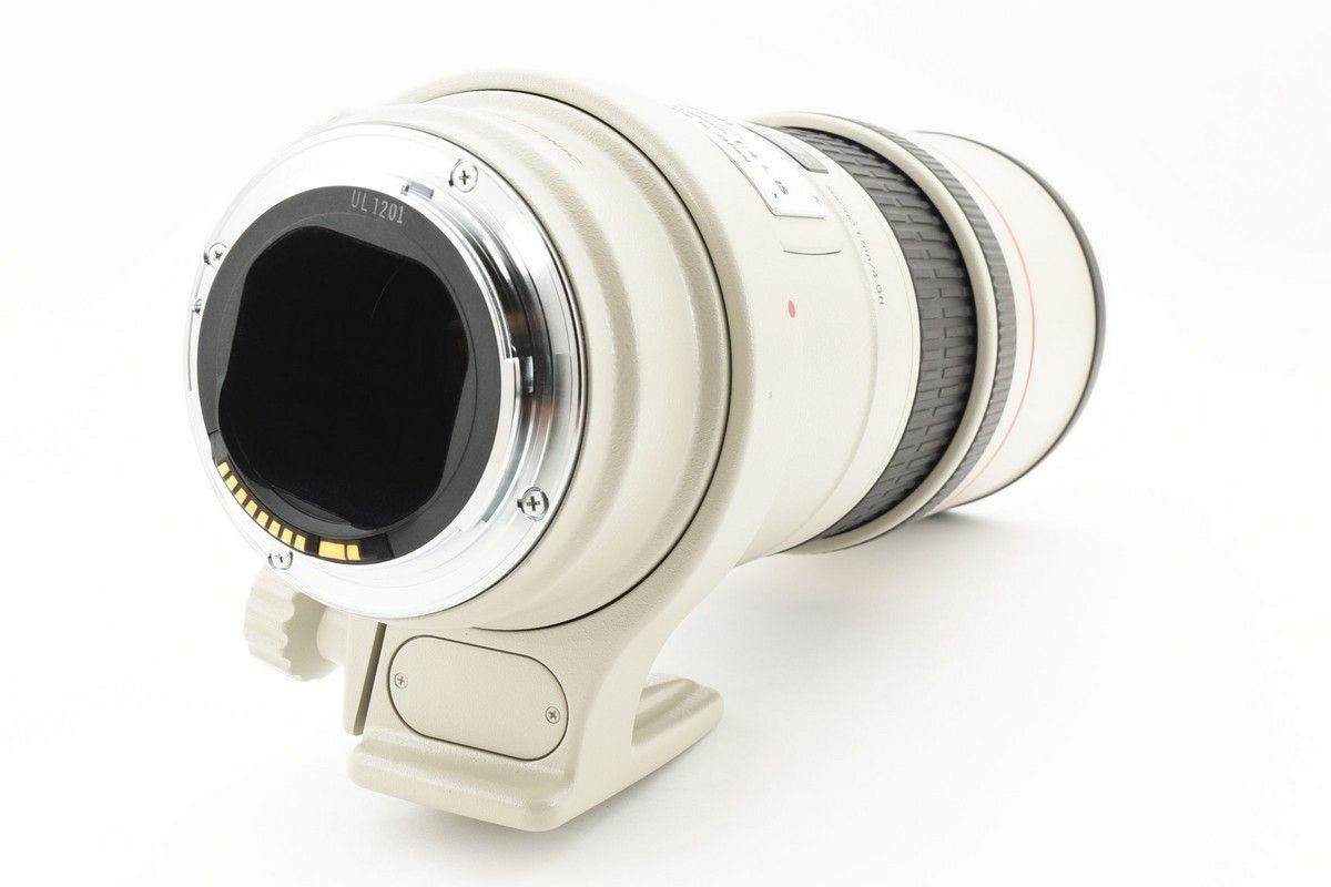 canon単焦点 300mm F4L IS USM 【公式通販】