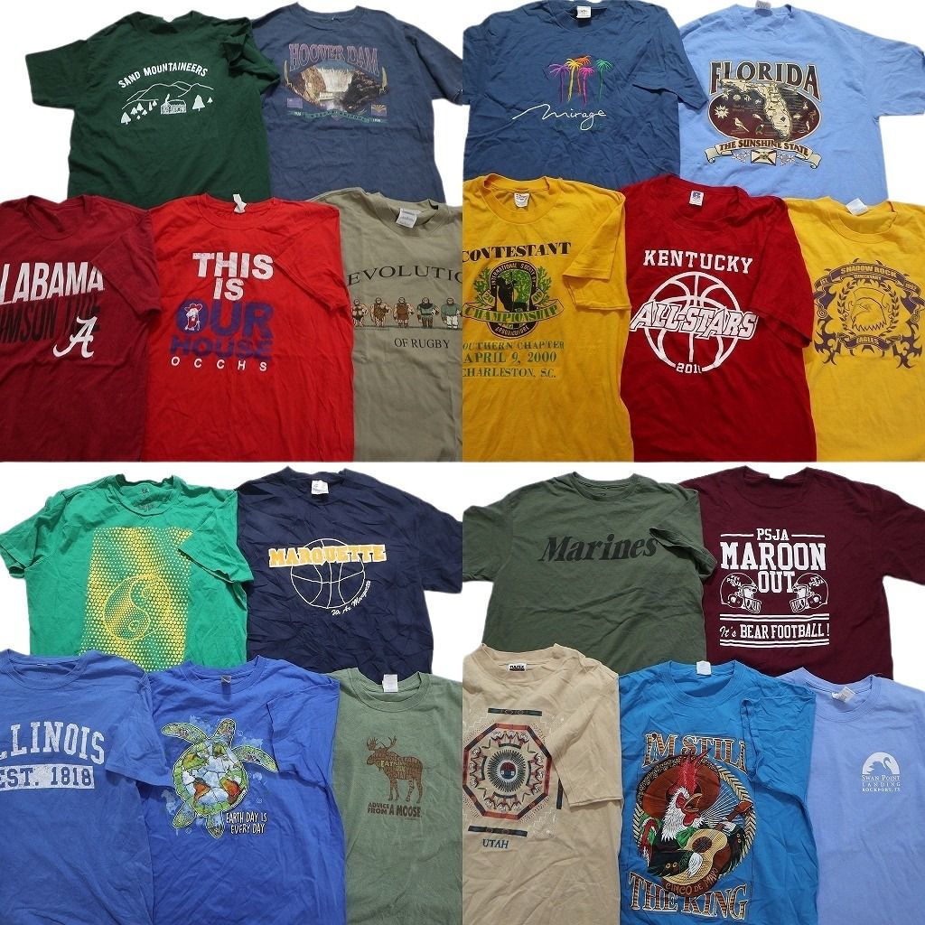 SALE 古着卸 まとめ売り カラーmix プリント 半袖Tシャツ 20枚セット (メンズ L ) 英字プリント  アニマル カレッジ風 MT3486