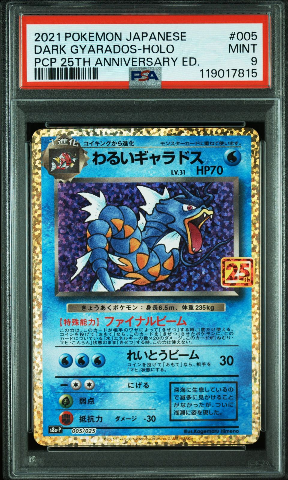 わるいギャラドス 25th PSA10 連番 psa9 わるいギャラドス 25th プロモ 005/025 s8a-p - メルカリ