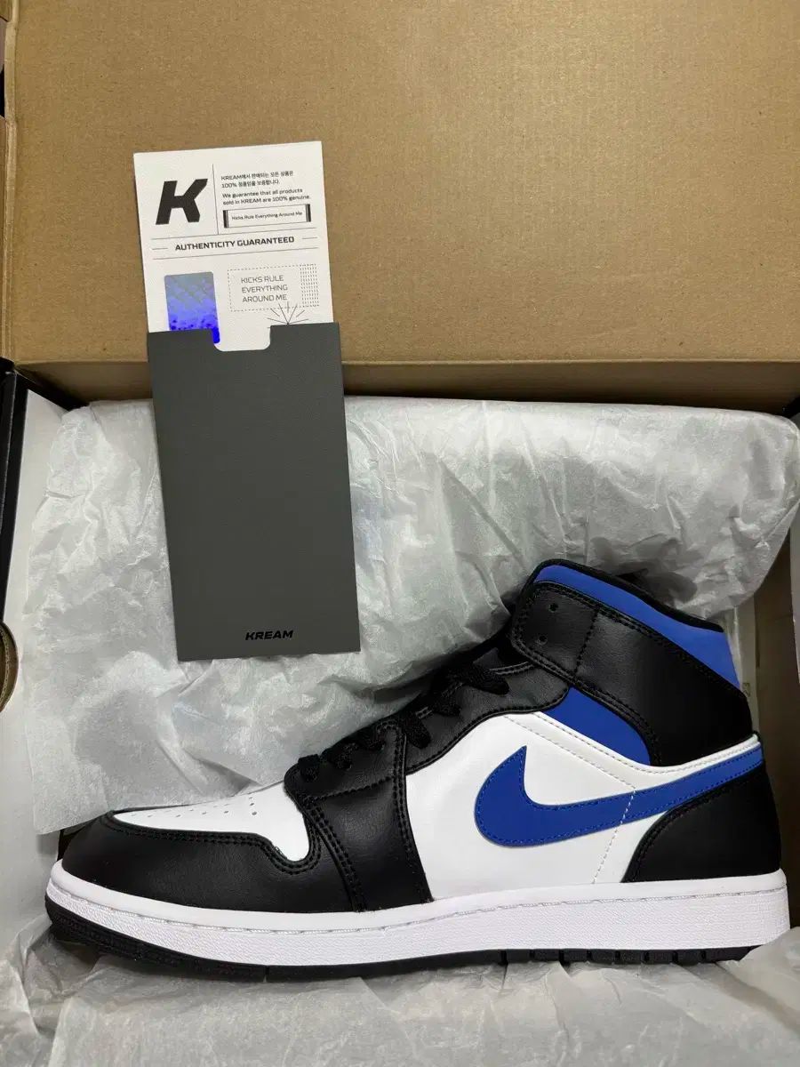 NIKE ナイキ ジョーダン 1 レーサーブルー 290