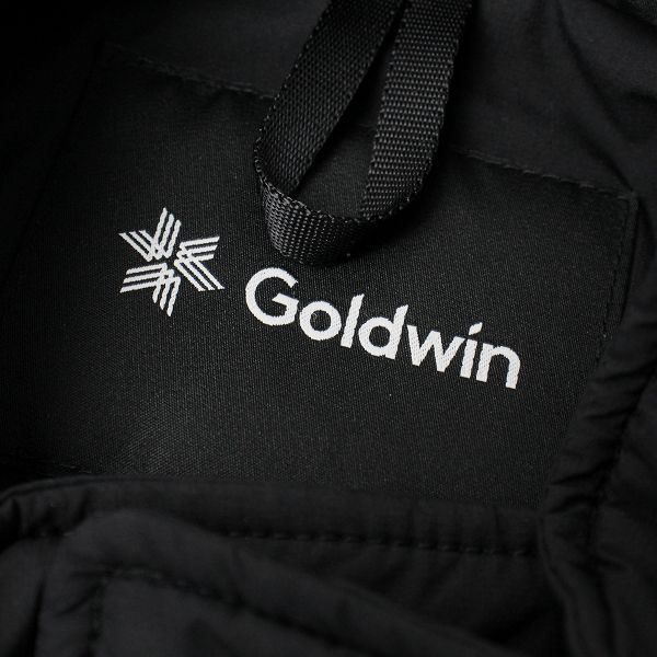 GOLDWIN ゴールドウィン Bshop別注 GORE-TEX INFINIUM フィッシュ