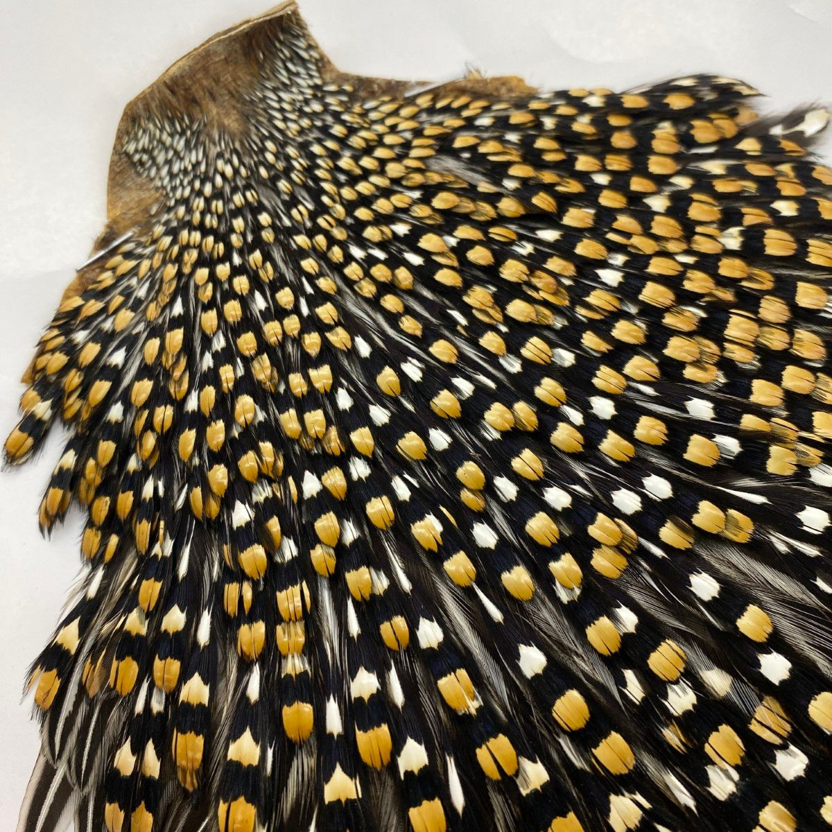 ショップ §§ Jungle Cock ジャングルコック フライマテリアル