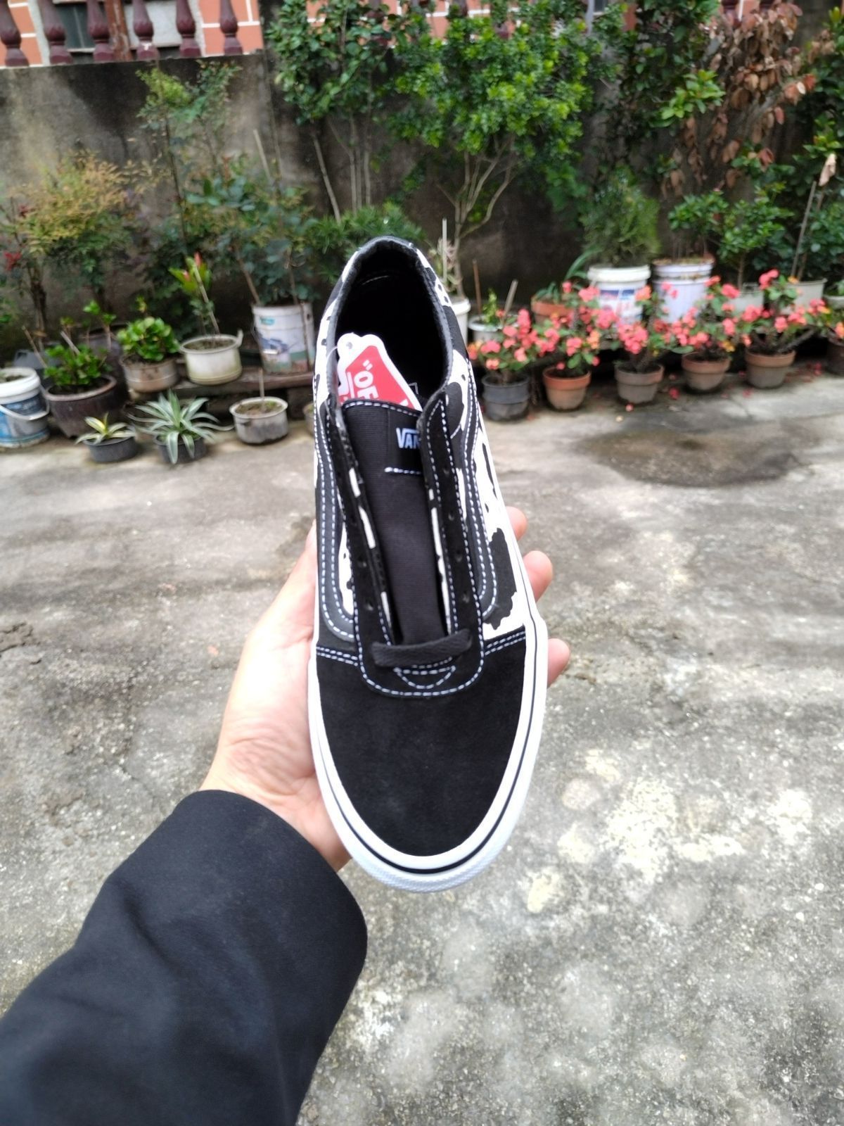 コウモリ柄 アメリカン