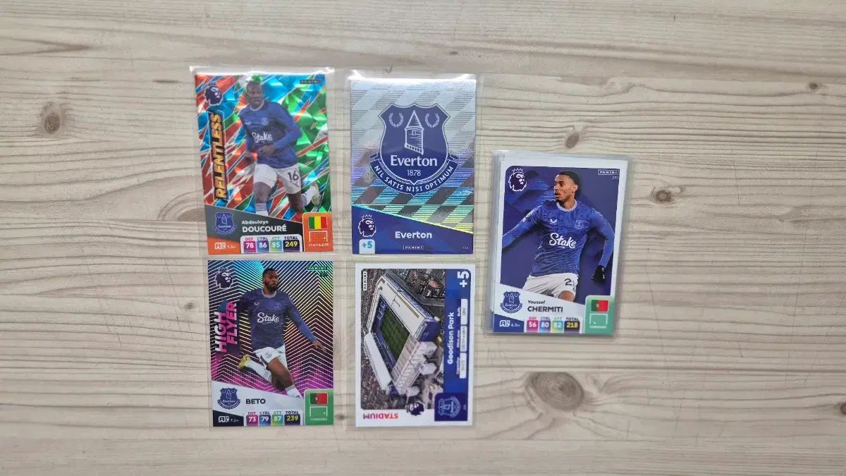 【雷市場（ポンジャン）商品韓国直送】 Panini パニーニ 2025 epl エバートン (スタジアム ロゴ)