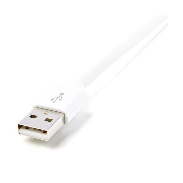 オス -USB