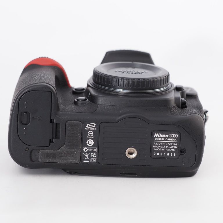 D300