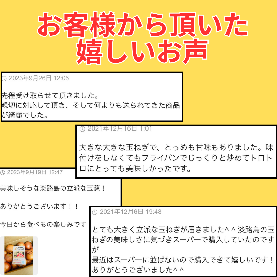 送料無料！淡路島玉ねぎ5キロ