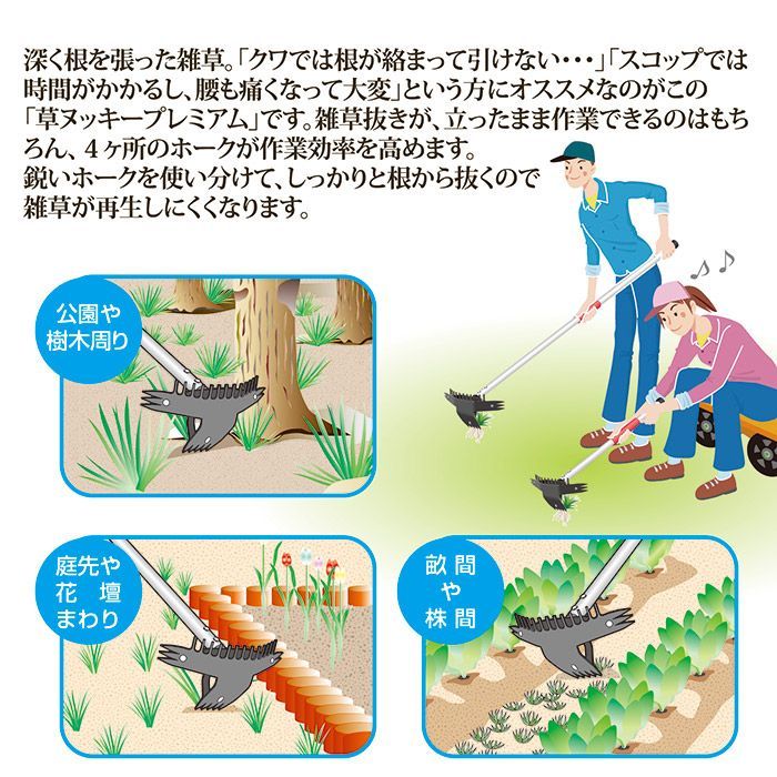掃除 庭
