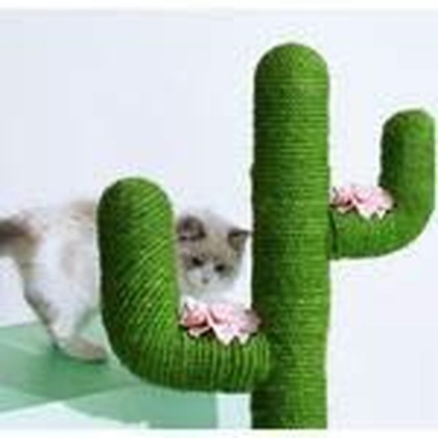  ペットアイ 爪とぎタワー サボテンJr キャットタワー 爪ケア 猫 組立簡単 工具不要 麻縄 SNS映え ストレス解消 お手入れ用品 小動物用品