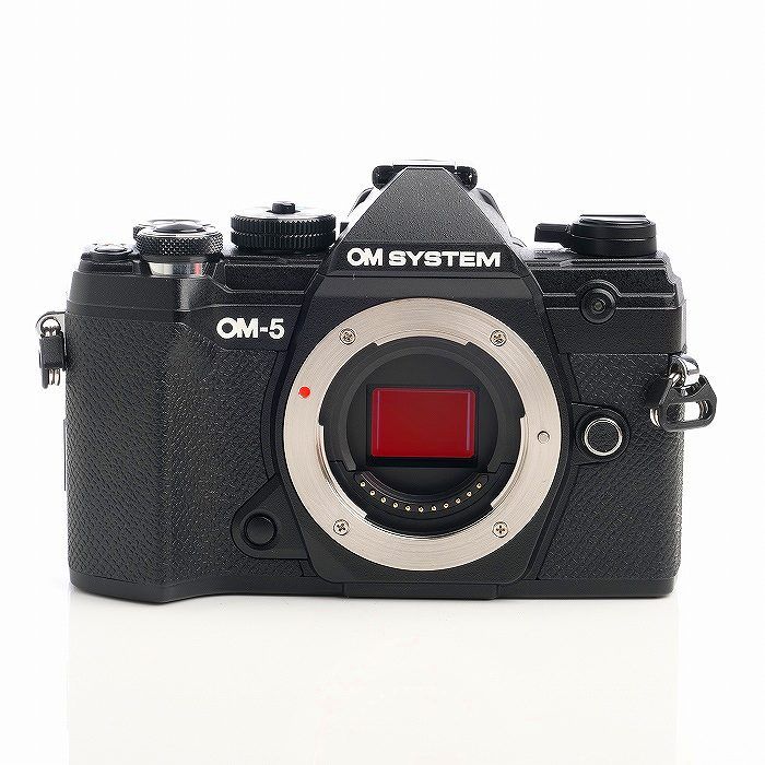 オリンパス OLYMPUS OM-D E-M5 ブラック ボディ