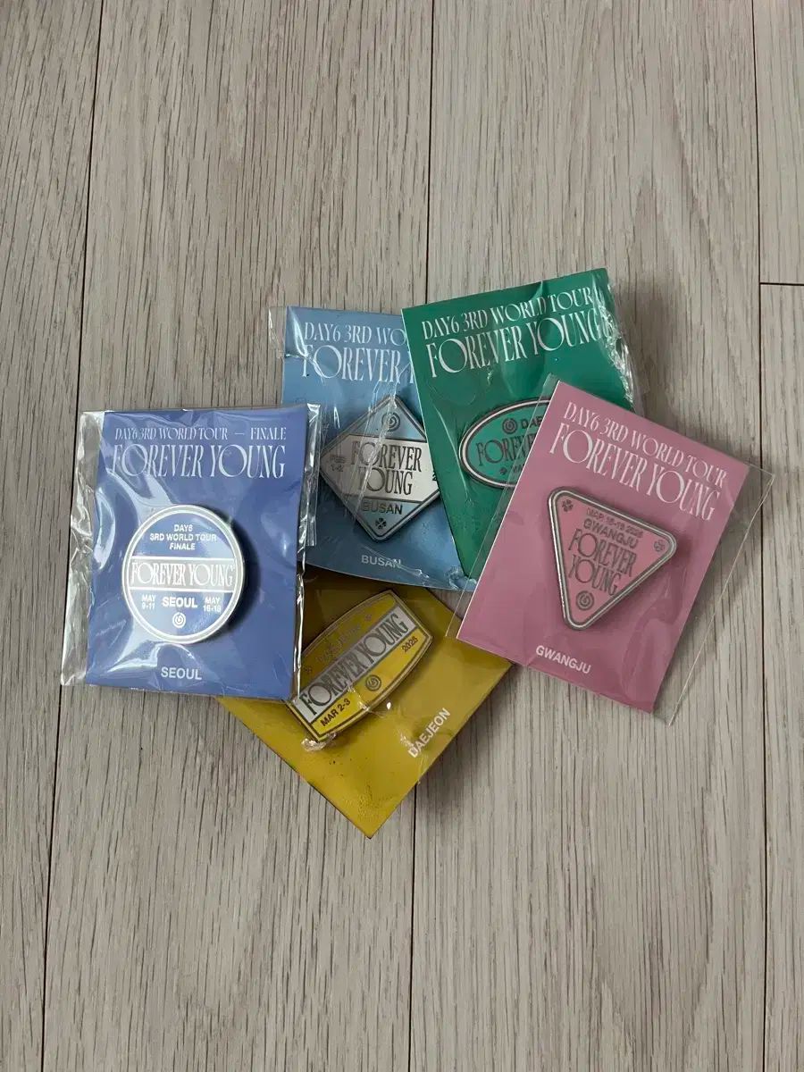 DAY6 デイシックス デシーク フォーエバー ヤング 全国ツアー 過激派 バッジ