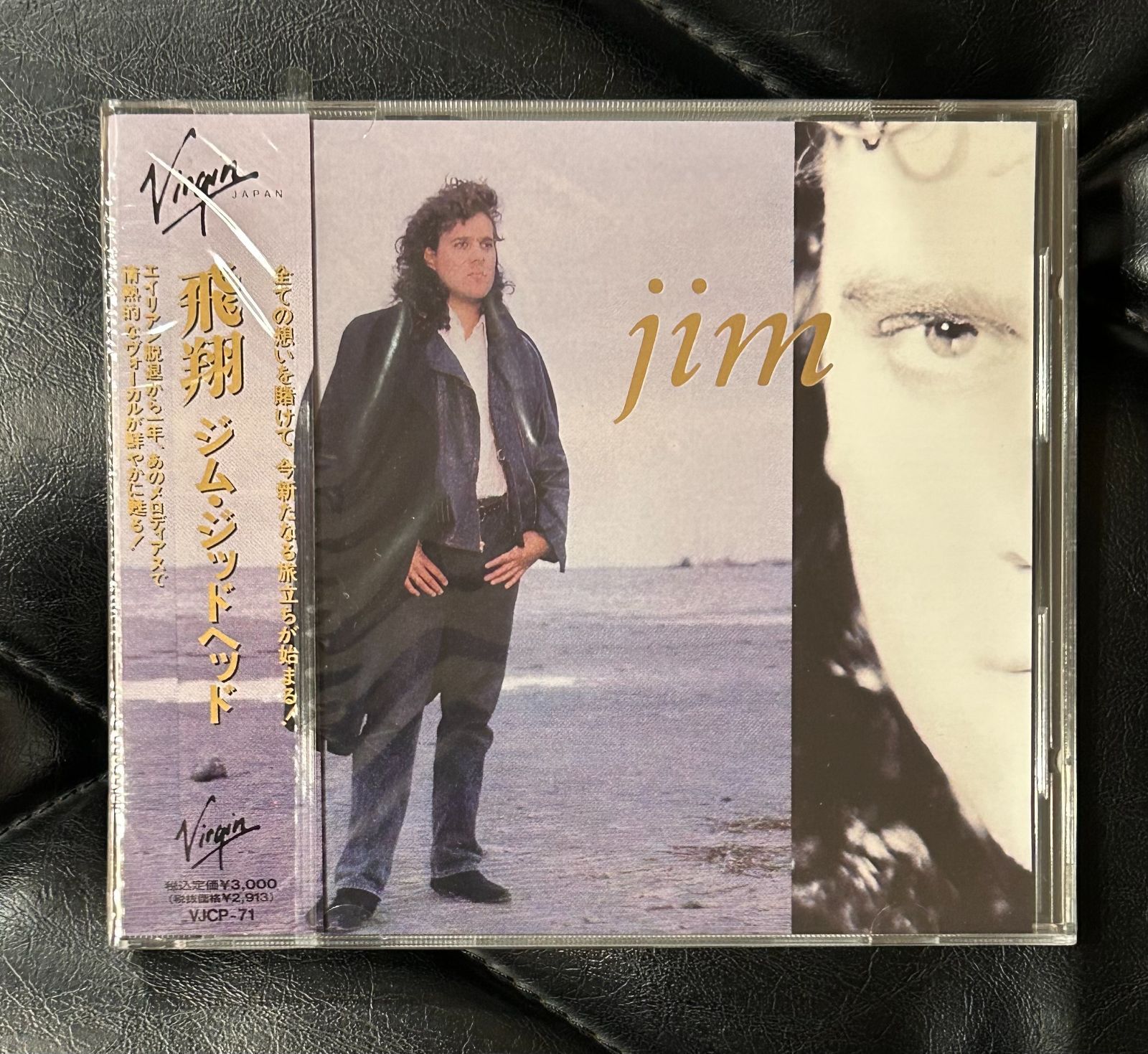 帯付き廃盤 CD ジム ジッドヘッド 飛翔 JIM JIDHED HR HM メロハー エイリアン Alien