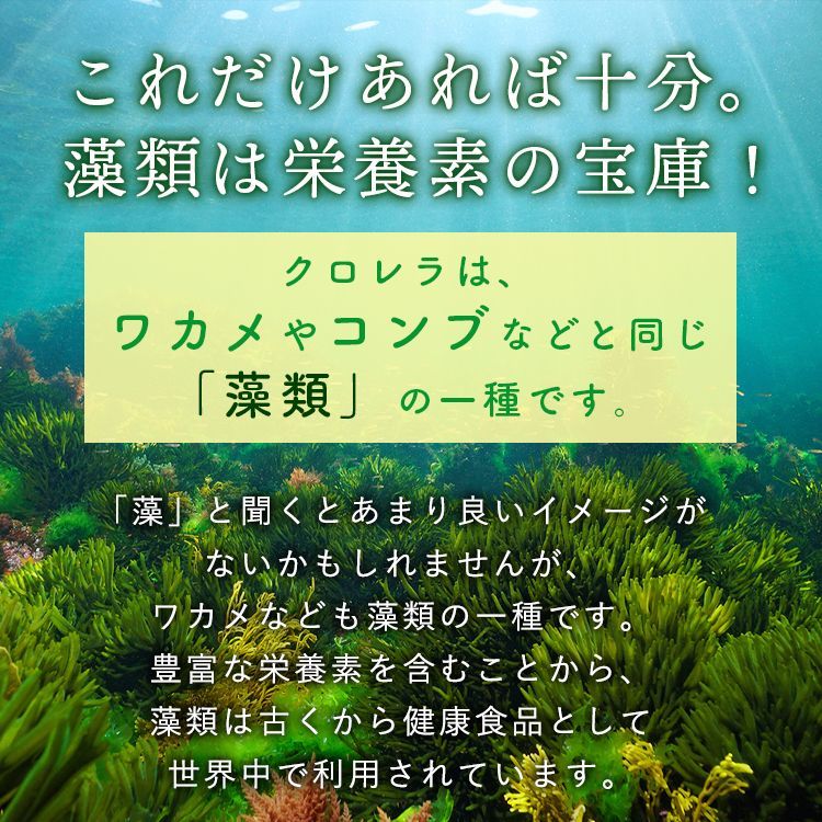 クロレラ 八重山クロレラ粒
