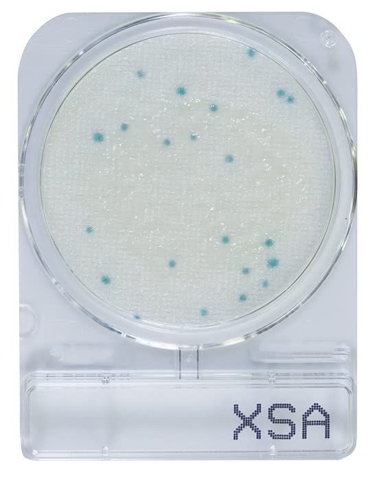 島津ダイアグノスティクス コンパクトドライ? X-SA 40枚 黄色ブドウ球菌測定用|4枚×10袋