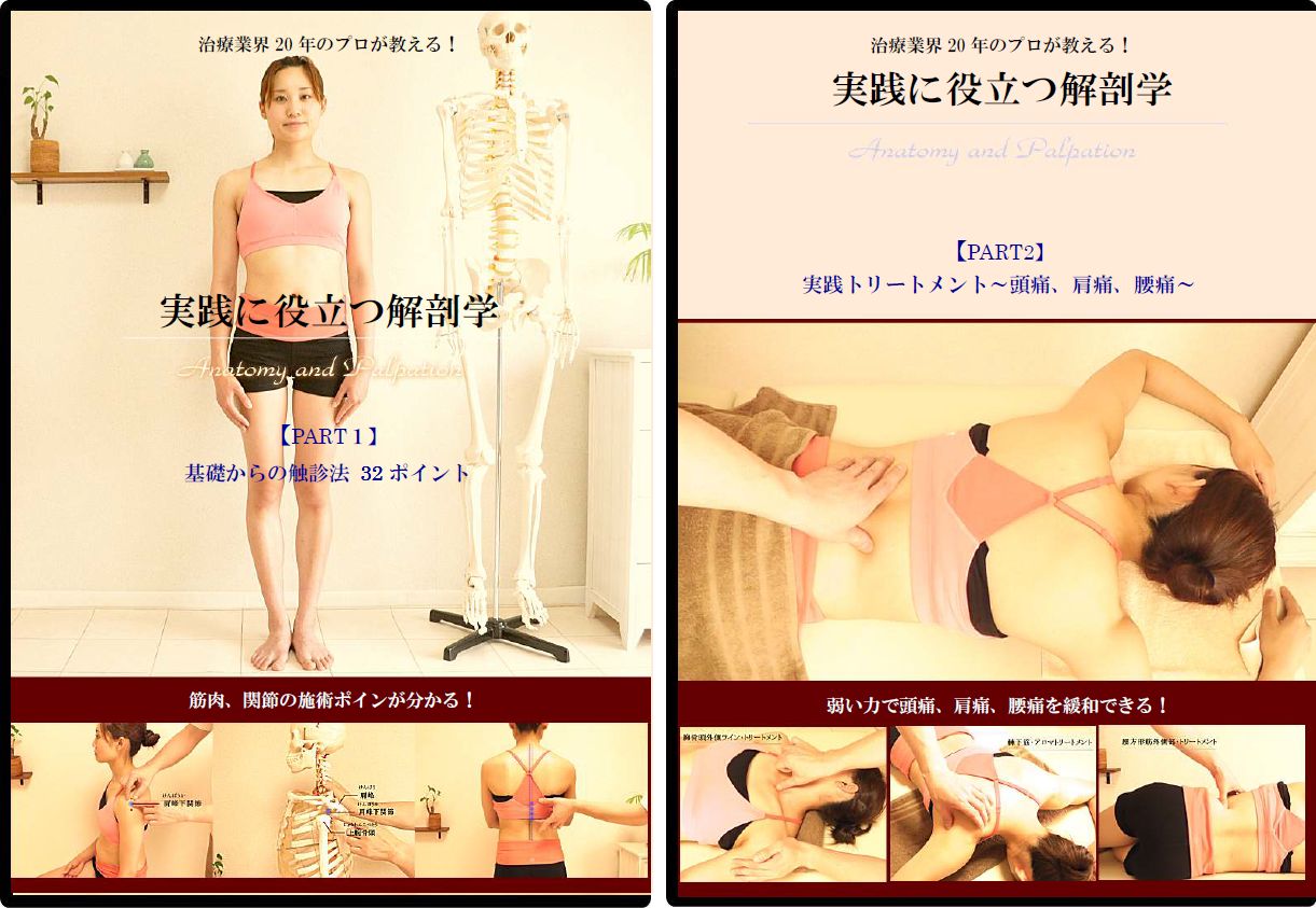 DVD2枚組 実践に役立つ解剖学PART1 基礎からの触診法32ポイント 実践に役立つ解剖学PRAT2 実践トリートメント～頭痛 肩痛 腰痛～ ｜トリガーポイントマッサージが身につく