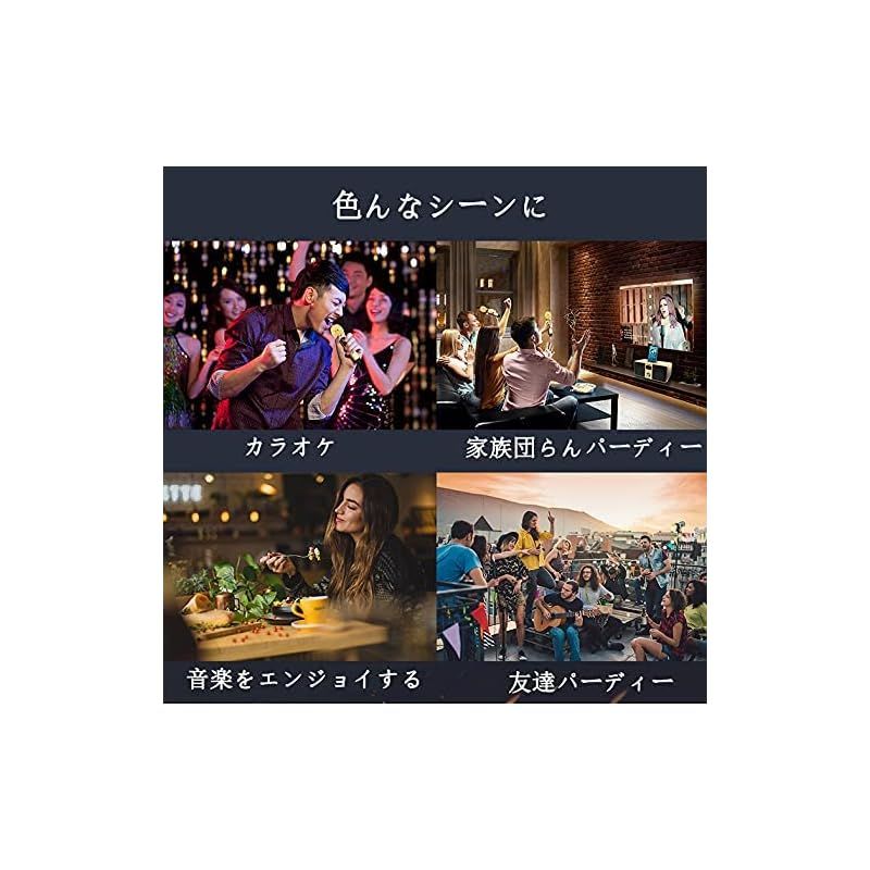 2つのハンドヘルドマイク有線および無線接続