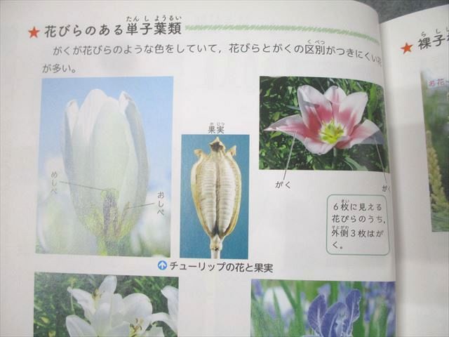 浜学園/受験研究社 理科 ビジュアルサイエンス テキスト 状態良 2024 023m2D 浜学園/受験研究社 理科 ビジュアルサイエンス テキスト 状態良