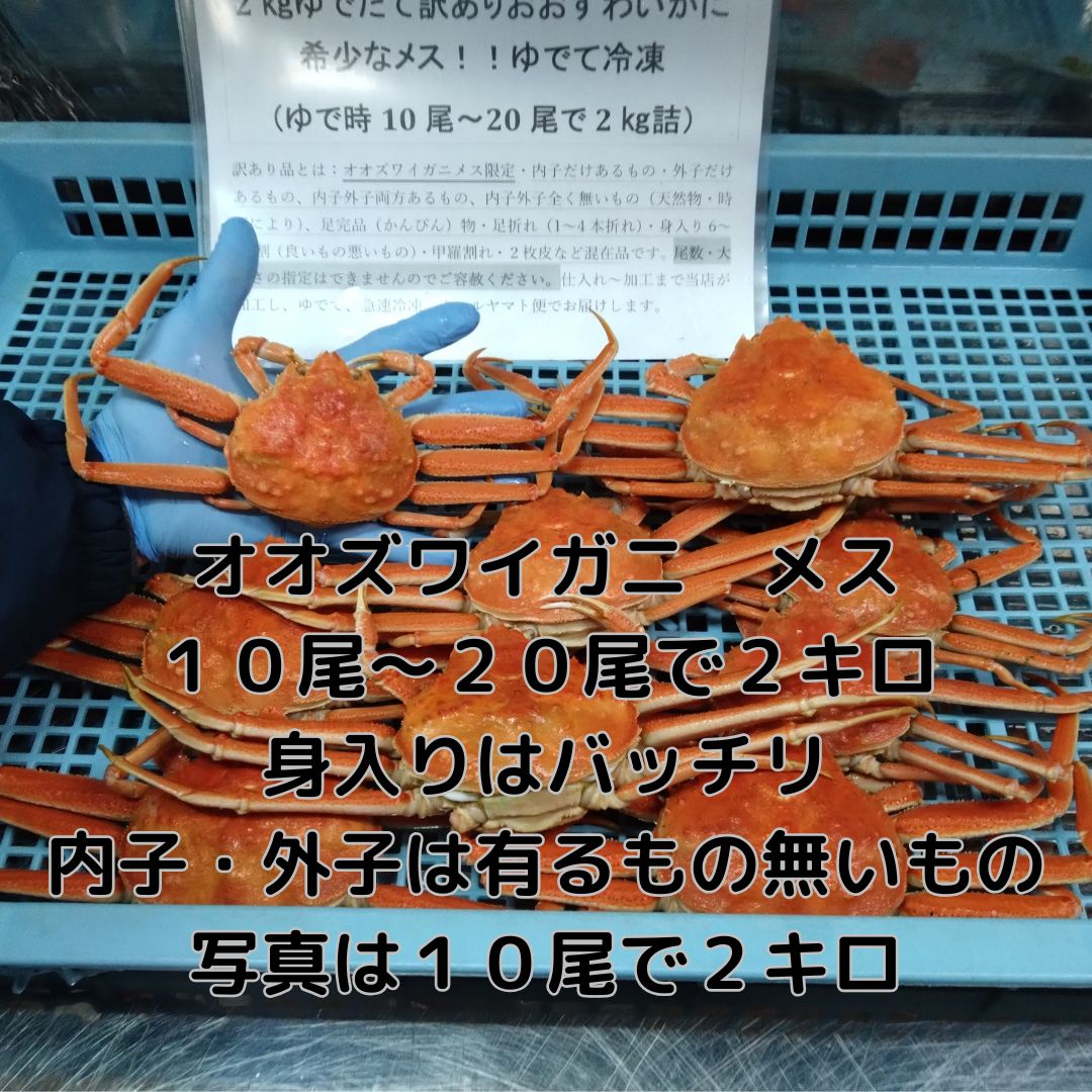 オス大中・メス小 各2㎏ずつ計4㎏ オオズワイガニオスメスセット