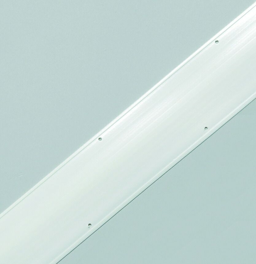 TOEI LIGHT(トーエイライト) ラインテープ釘(4300本) ホワイト焼付 2.6×63mm 約4300本入 G1526