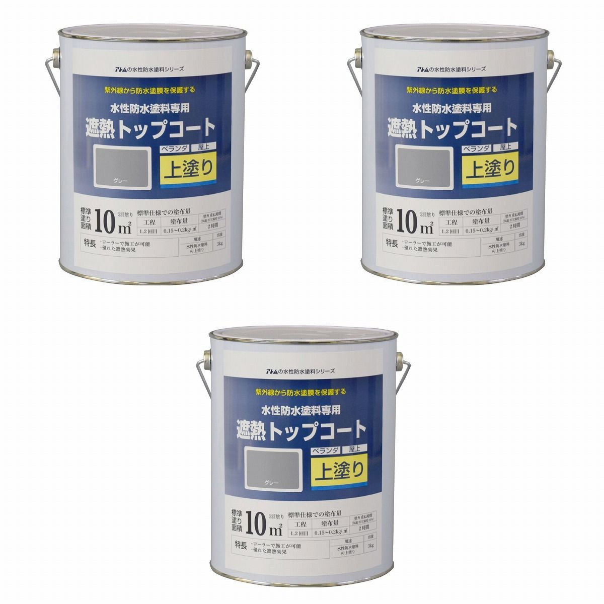 西郷隆盛の温度計 安い