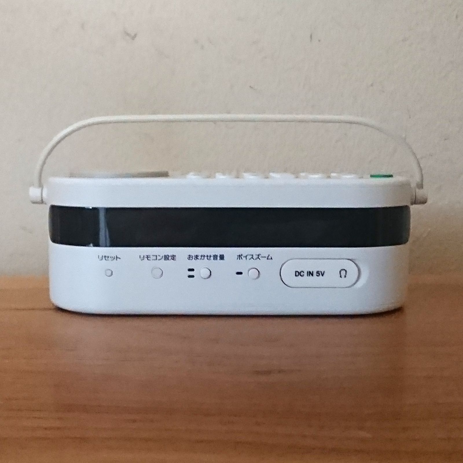 SONY SRS-LSR100