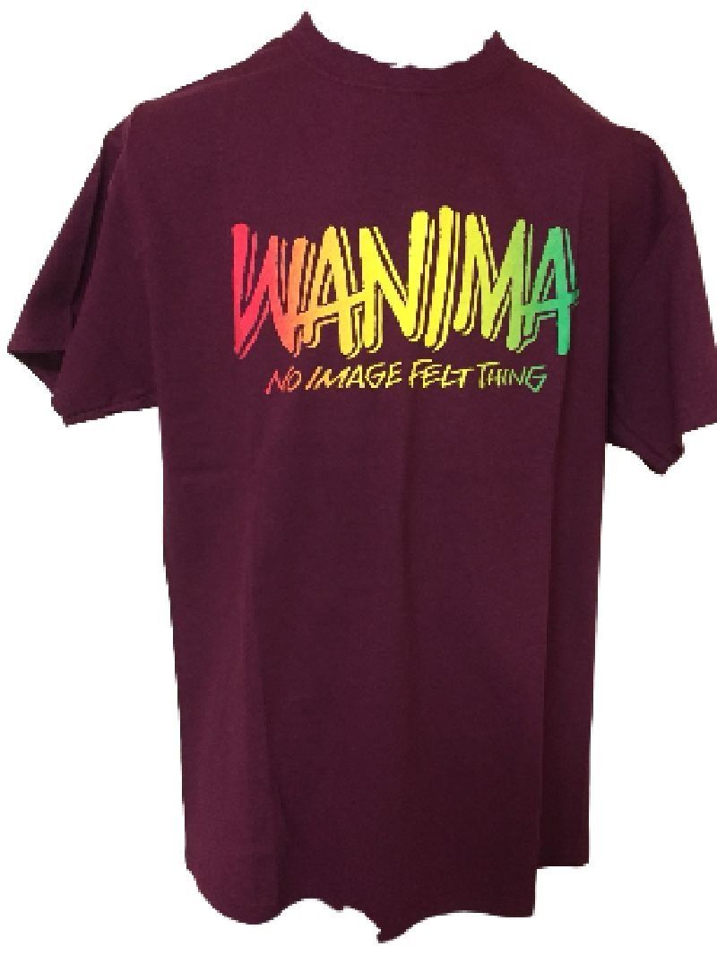 WANIMA（ワニマ） JUICE UP!! TOUR FINAL 公式グッズ SMTMT Tシャツ （バーガンディ） (M) - メルカリ