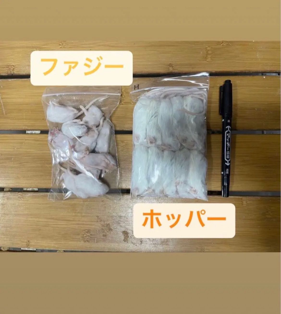 国産冷凍ホッパー100匹. 国産冷凍マウス ホッパーL30匹 (送料無料一部地域