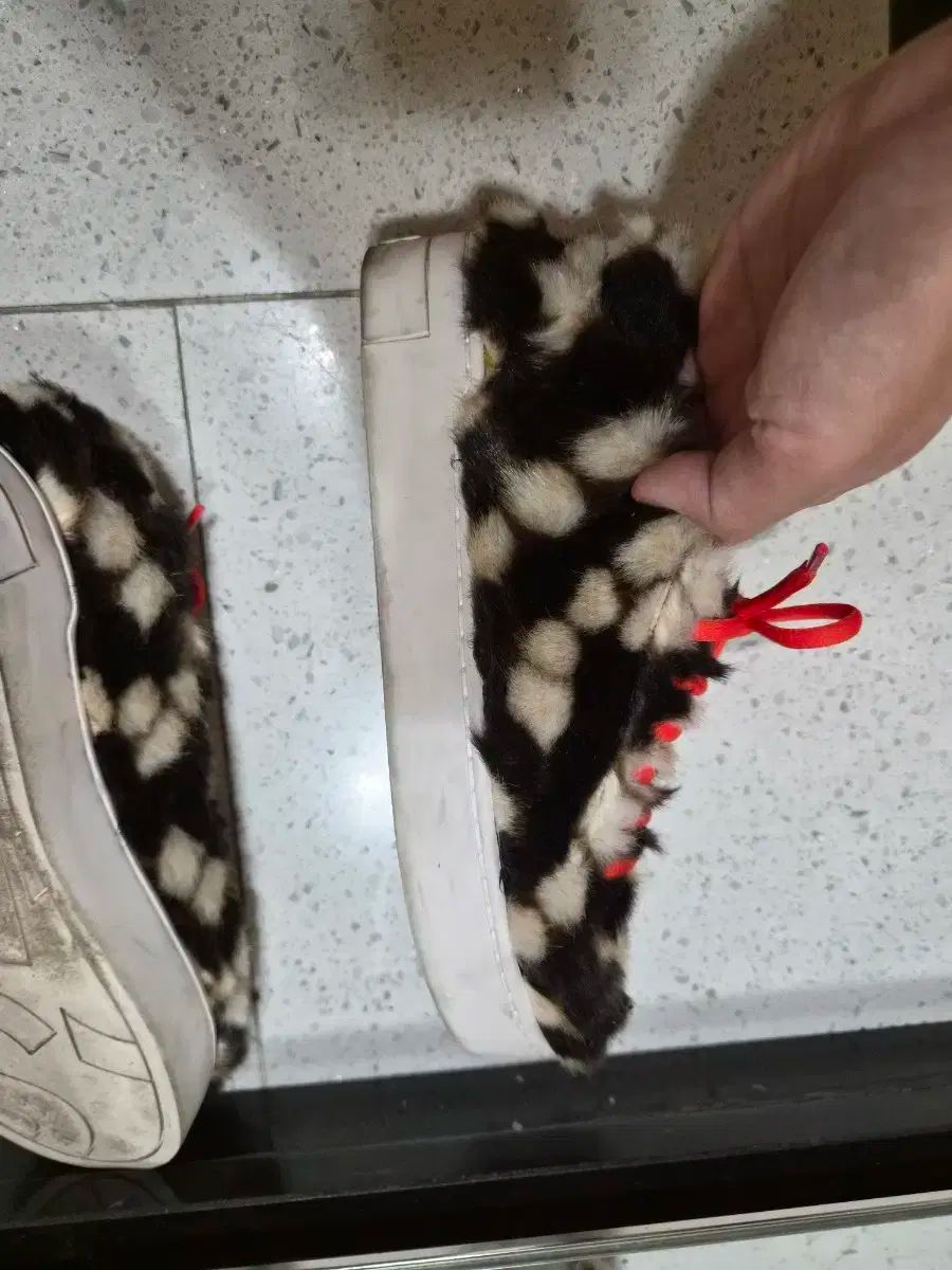 SUECOMMA BONNIE シューコンマボニー ファースニーカー 240