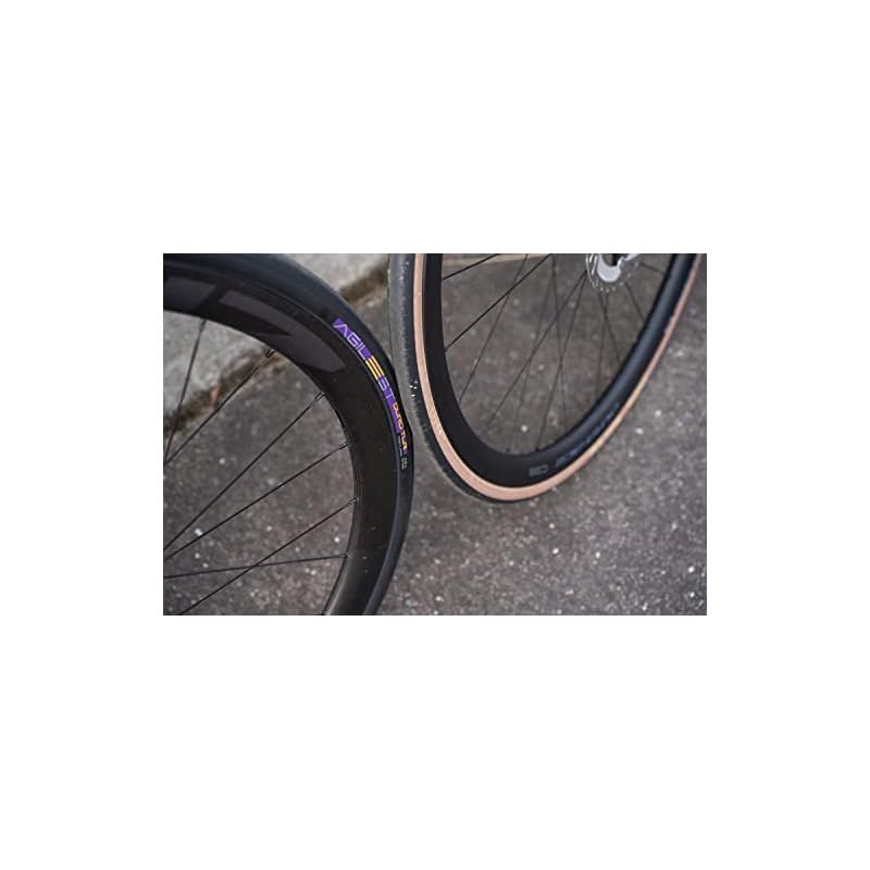 Panaracer AGILEST クリンチャー 700×28c アンバー 2本 パナレーサー