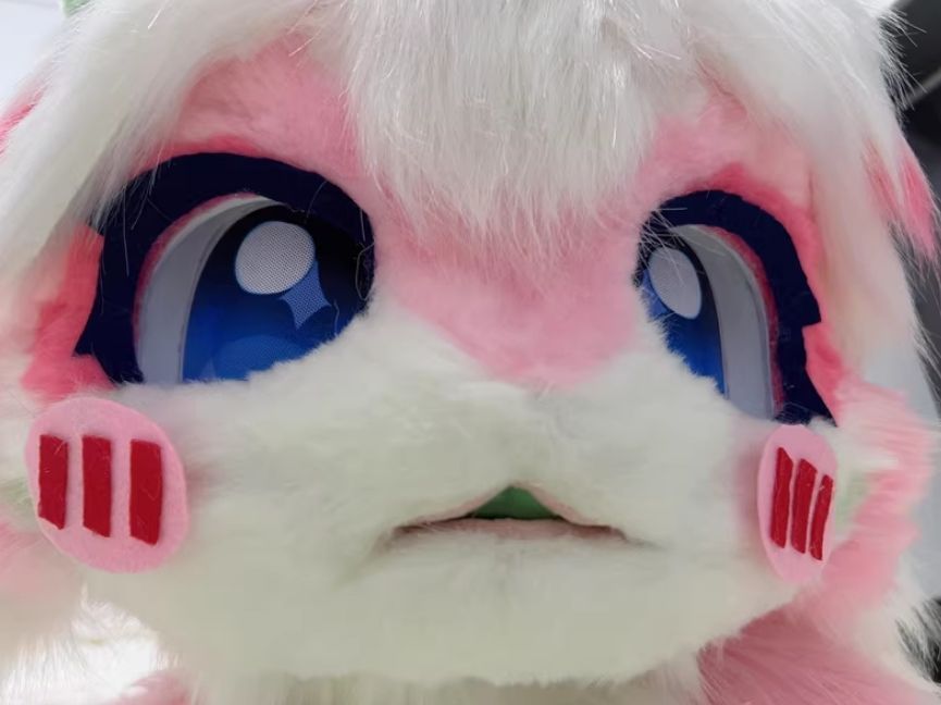 全頭ヘッド