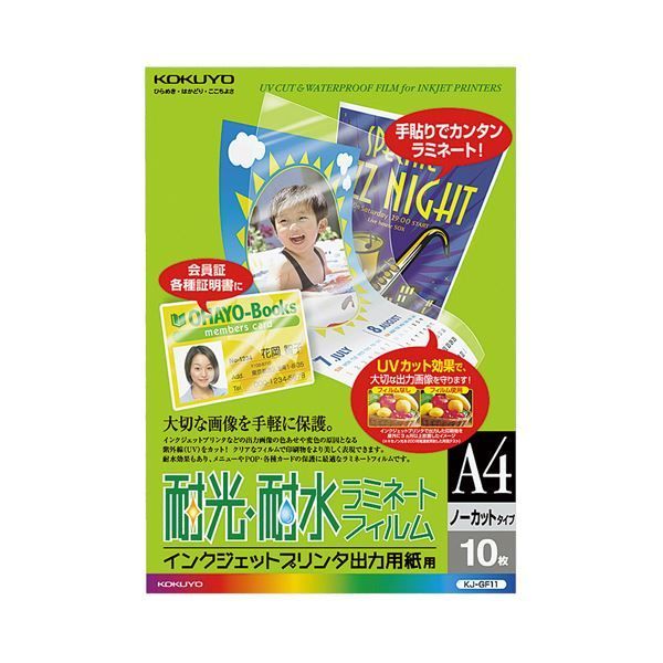 ビカクシダ バクテリア一年半育成