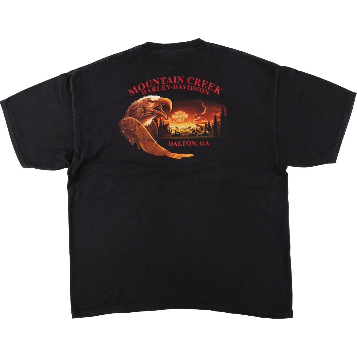 古着 00年代 ハーレーダビッドソン Harley-Davidson 鷲柄 イーグル柄 モーターサイクル バイクTシャツ メンズXXL相当 eaa591502