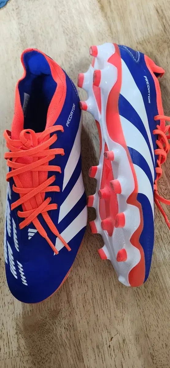 シューズ adidas Predator PRO FT HG/AG 24.5 アディダス プレデター 24 LEAGUE Low HG/AG / 土・人工芝用