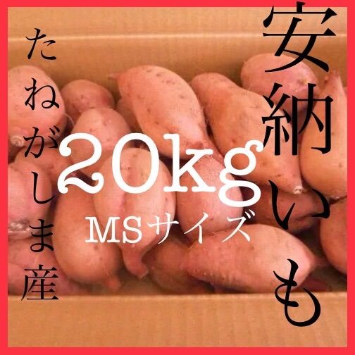 安納芋種子島産 MSサイズ20kg さつまいも 安納芋紅 焼き芋に 138