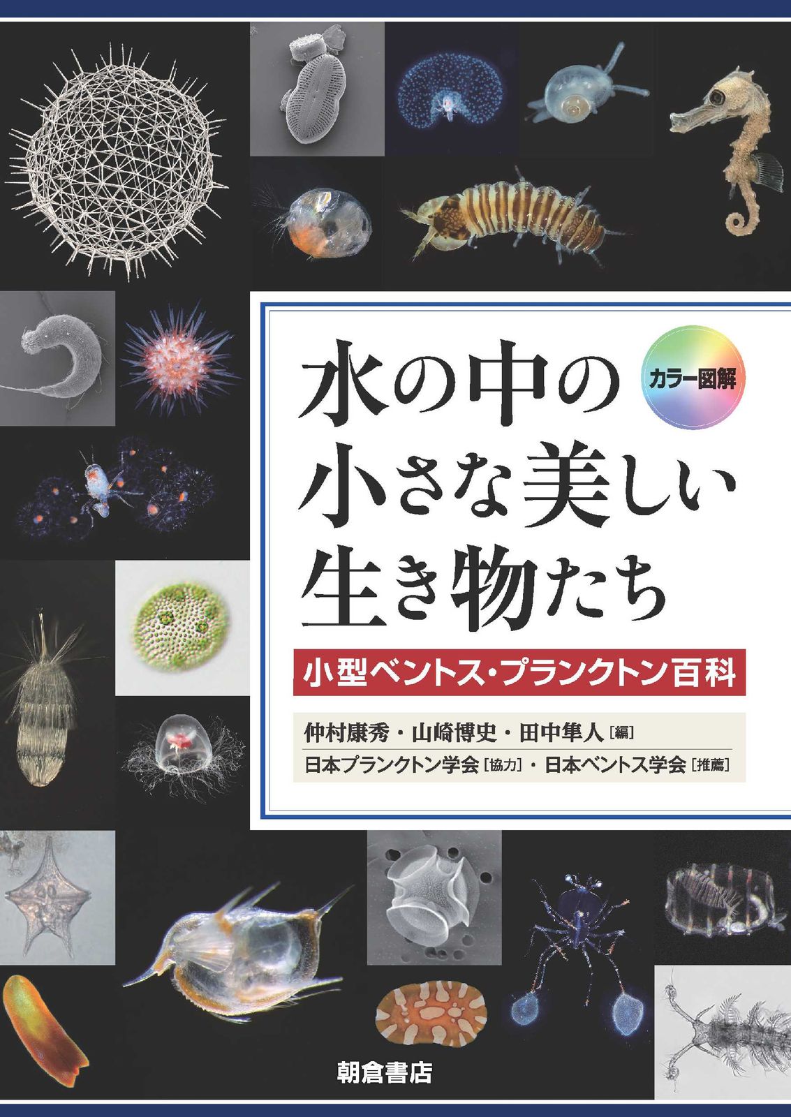 カラー図解 水の中の小さな美しい生き物たち 小型ベントス プランクトン百科|朝倉書店|仲村康秀 単行本
