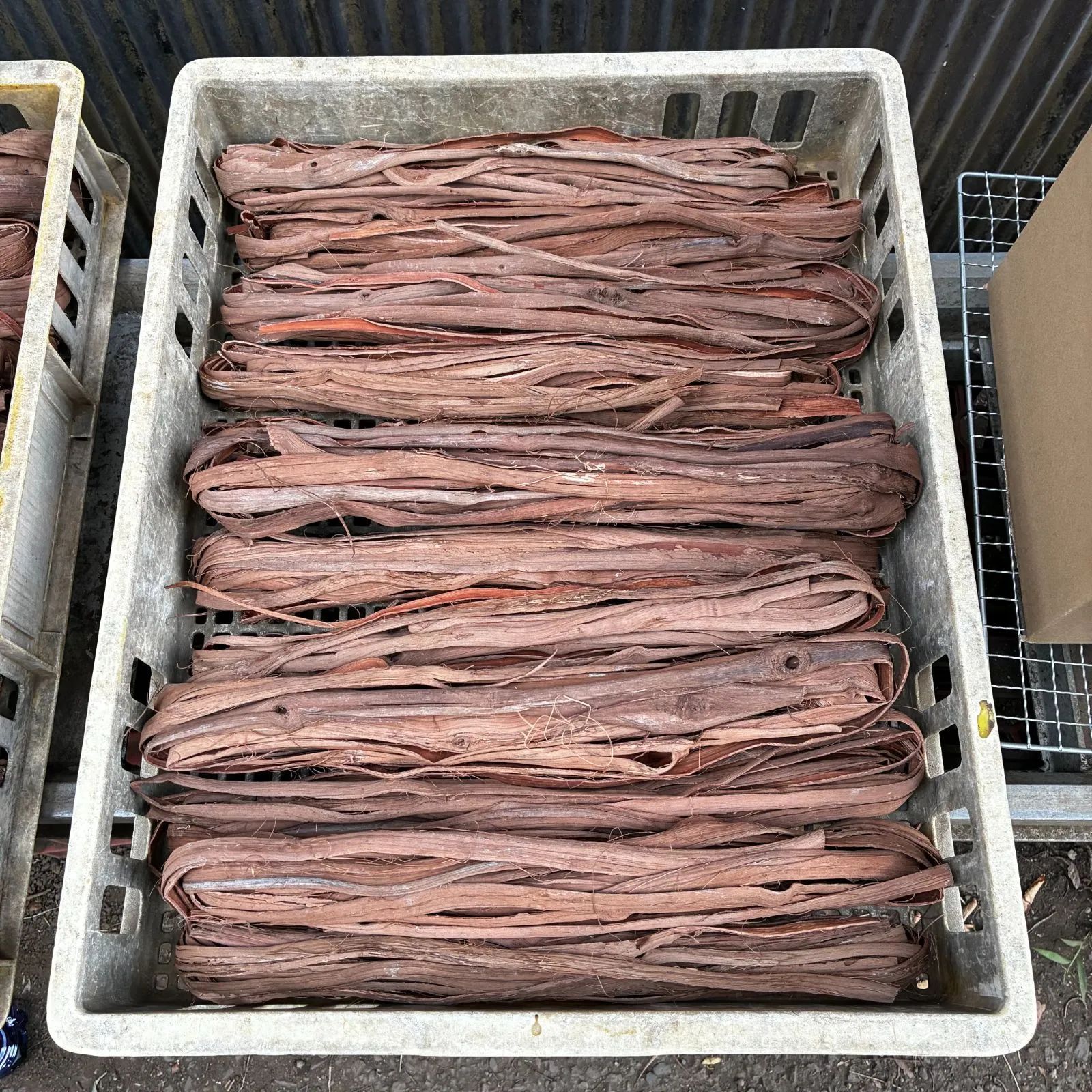 山葡萄の蔓 B級品 1キロ